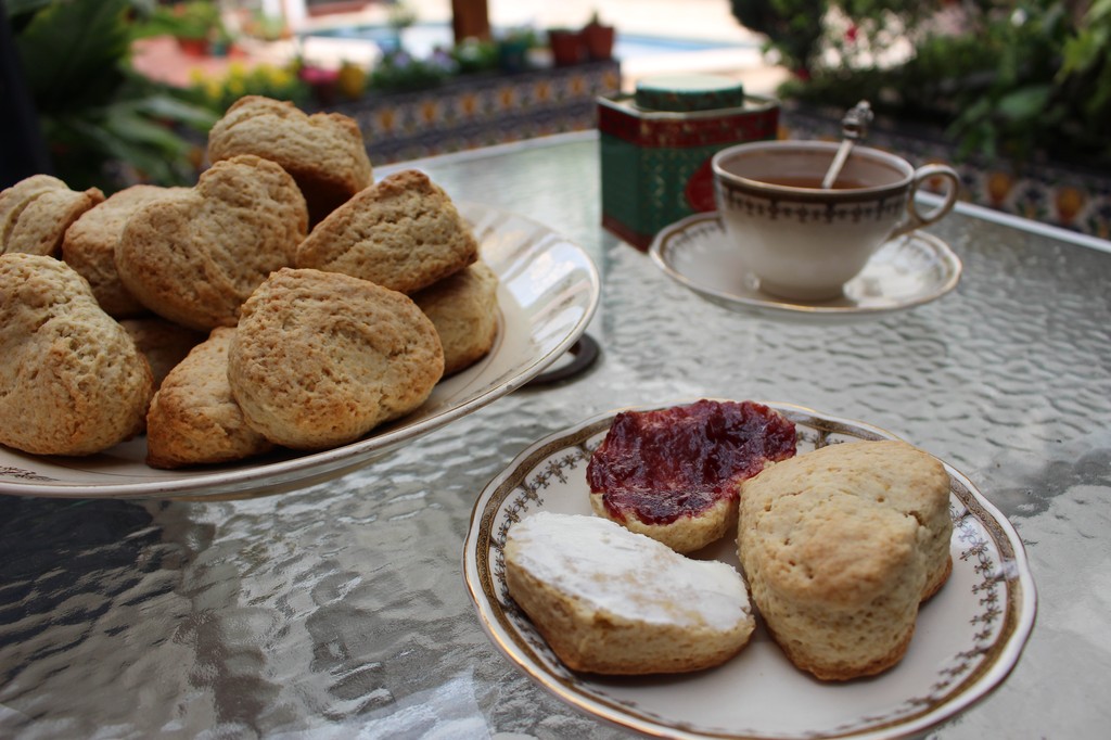 SCONES FOR TEA TIME | Tajinny.com